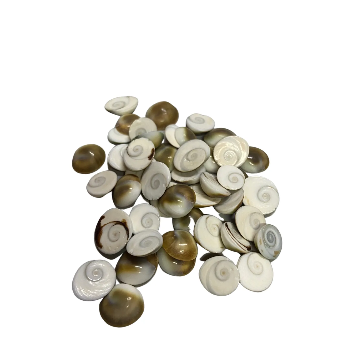 Gomati Chakra
