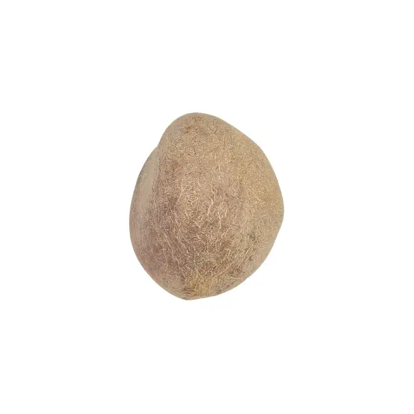 Nariyal Gola (Dry Fruit)