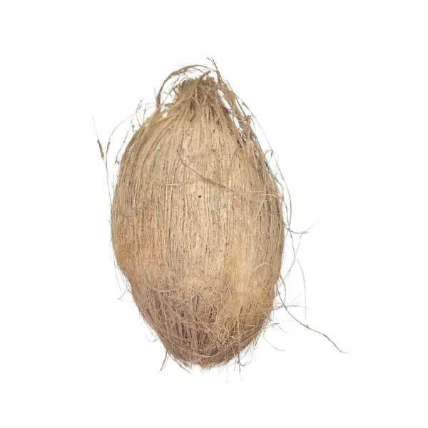 Nariyal Paniwala